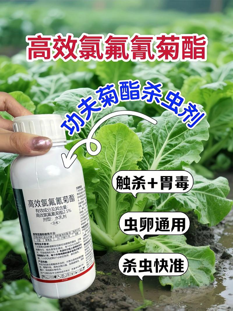 黔西南代生中心:农药对供卵代生妈妈的危害